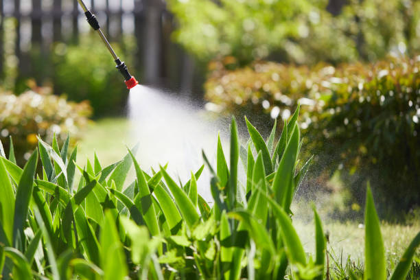 Tamper-Resistant Bait Stations for Rodents in Parker